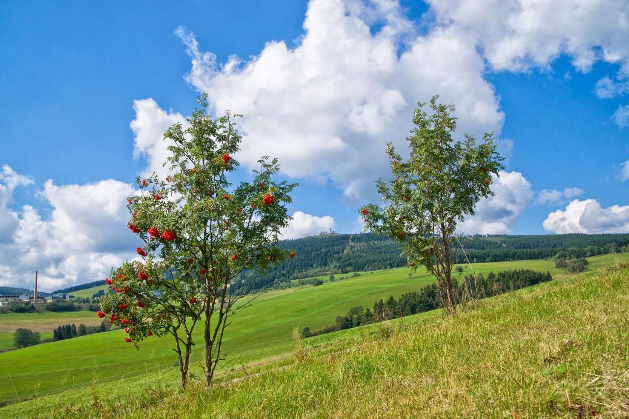 Am Roten Hammer I Gasthof Und Pension Обервізенталь Екстер'єр фото